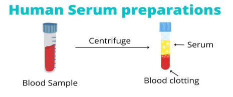 Human Serum Preparation - D pharma Notes Pharmaceutics Chapter 5 by MyPharmaNotes